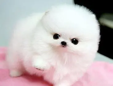 Проверка магазина одежда | Женская