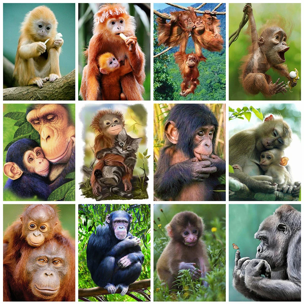 

Алмазная вышивка, распродажа, животные, Круглая Мозаика, алмазная живопись, обезьяна, Набор для вышивки крестиком, украшение для дома