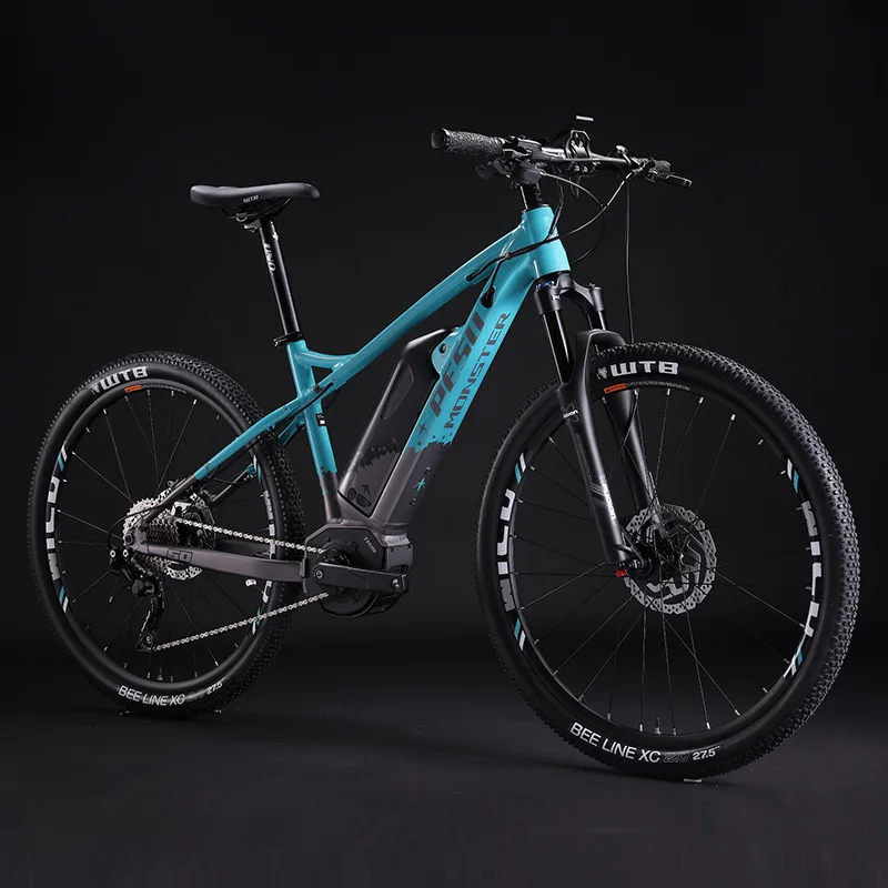

PESUMONSTER XC, 2020 , 10 , 36 , 350