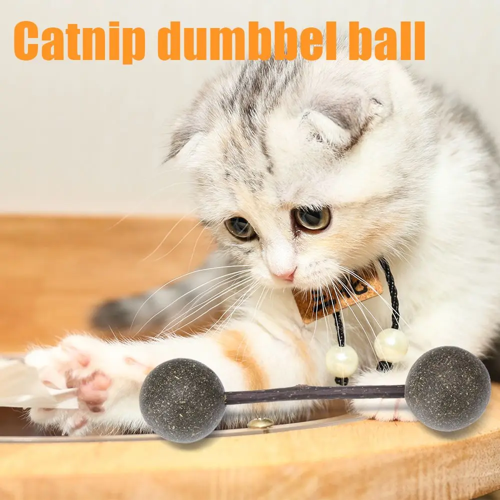 Новое средство для чистки зубов в желудке съедобная мята кошек | Дом и сад