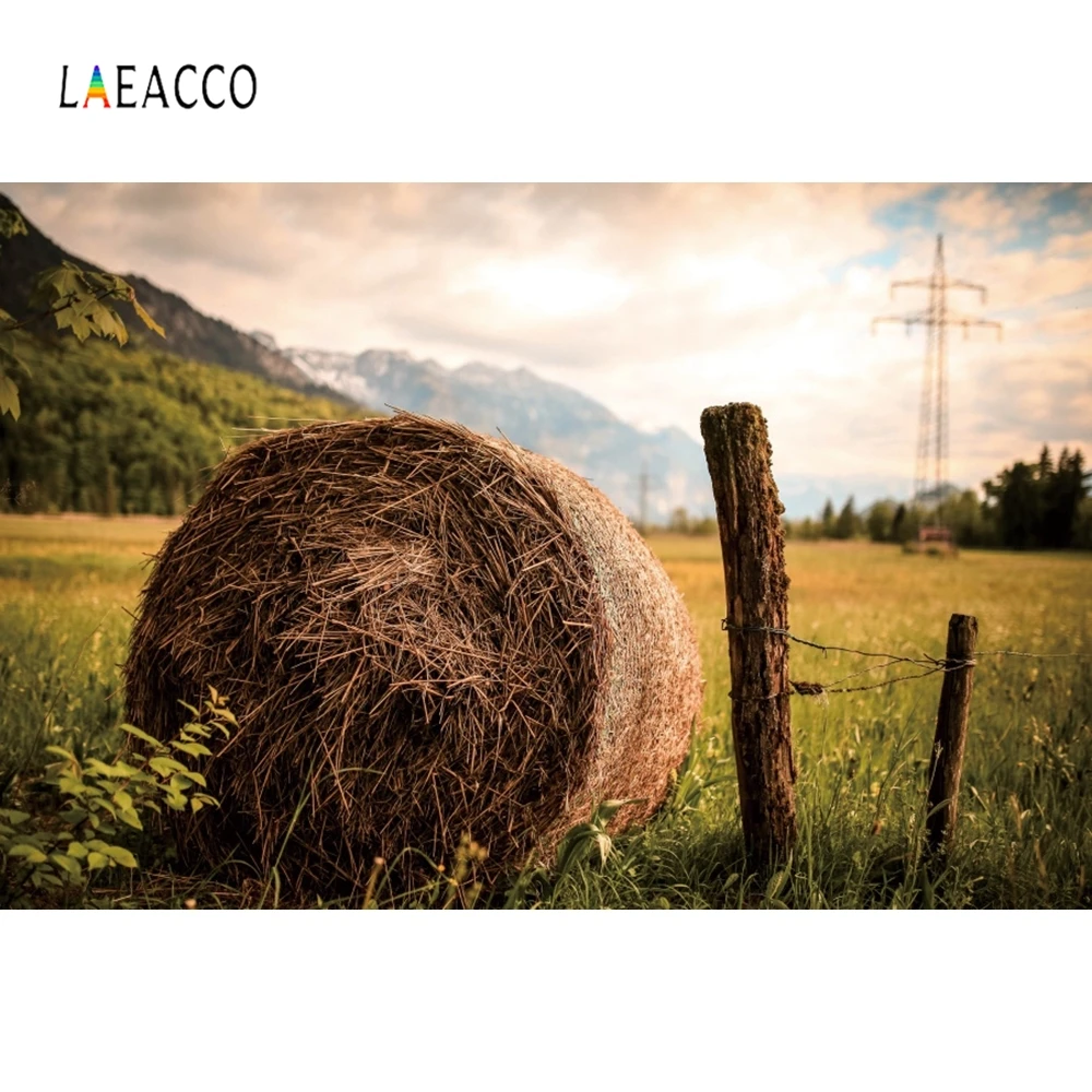 Laeacco пейзаж фотосессия дерево Пшеница стек Декор фотографии фоны