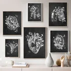 Плакат на холсте с изображением человеческого тела, настенная ретро-картина с изображением мозга, сердца, органов, абстрактная живопись, медицинское украшение