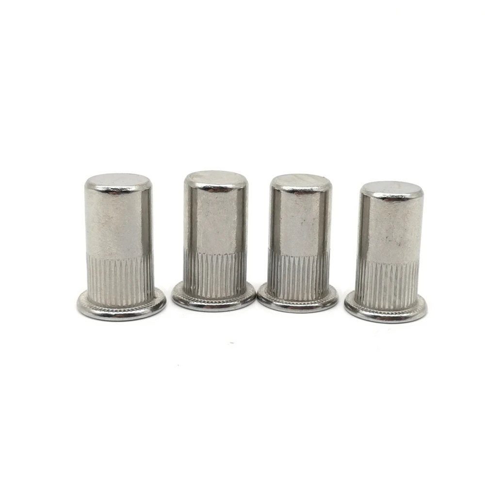 SUS304 плоская головка заклёпка гайка герметичная вертикальная полоска корпус