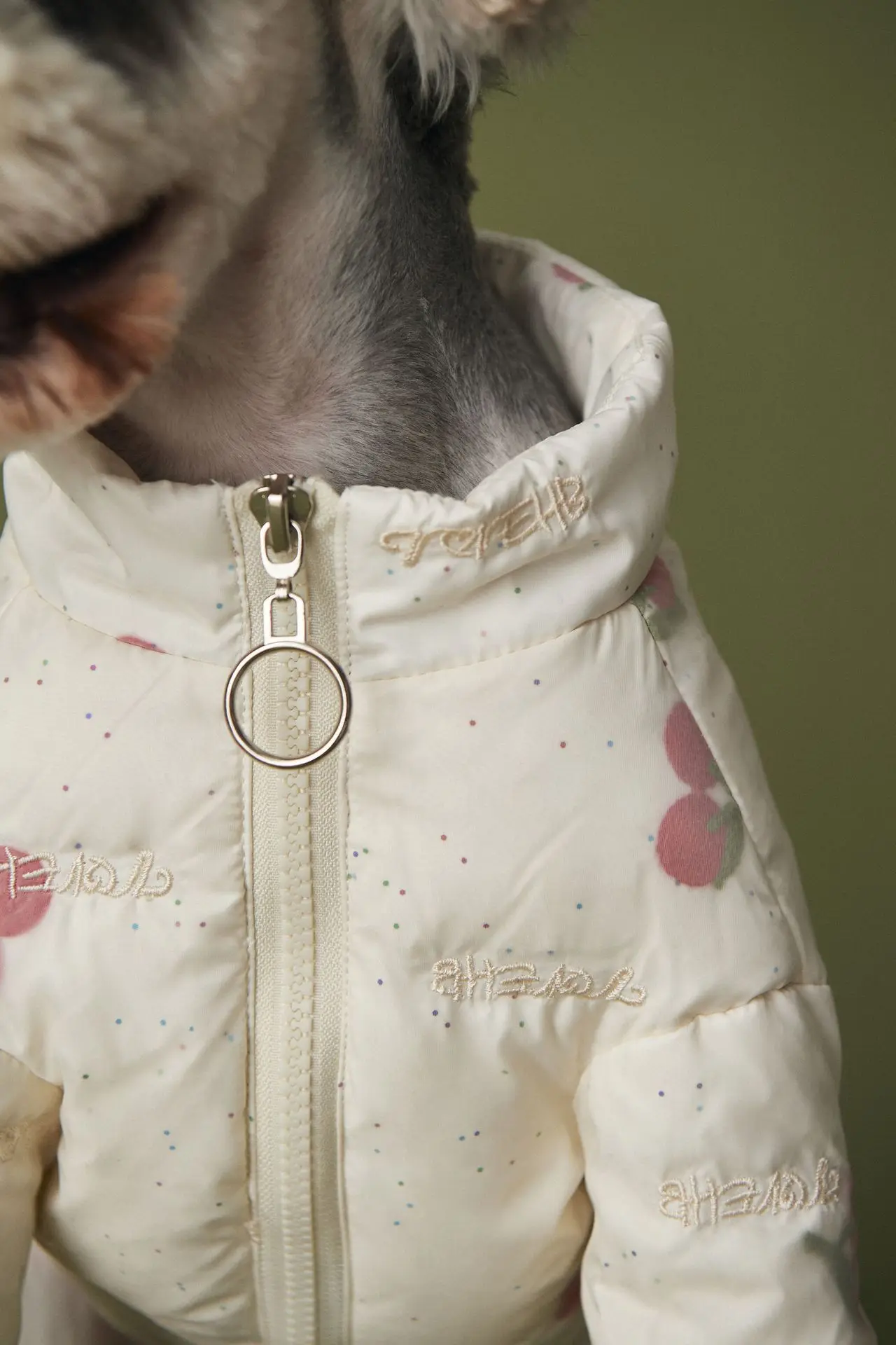 

Pet Dog Clothes Luxurious Warmth Autumn Winter Thick Down Jacket Teddy Schnauzer Pomeranian Corgi High-end Two-legged Clothing