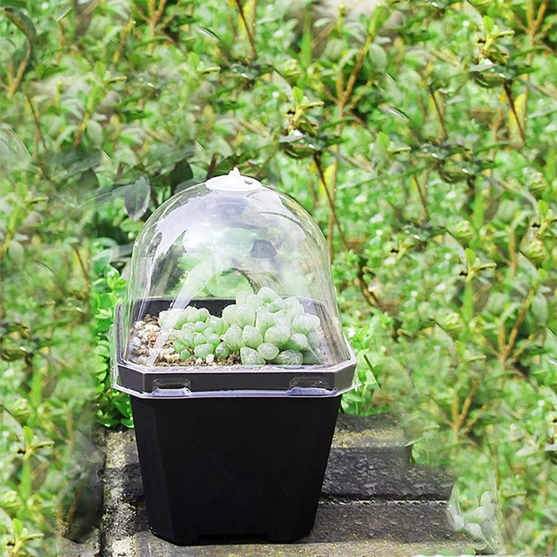 

5Pcs Protective Plant Reusable Plastic Plant Bell Cover Plant Protector Cover for Season Extension Transparent