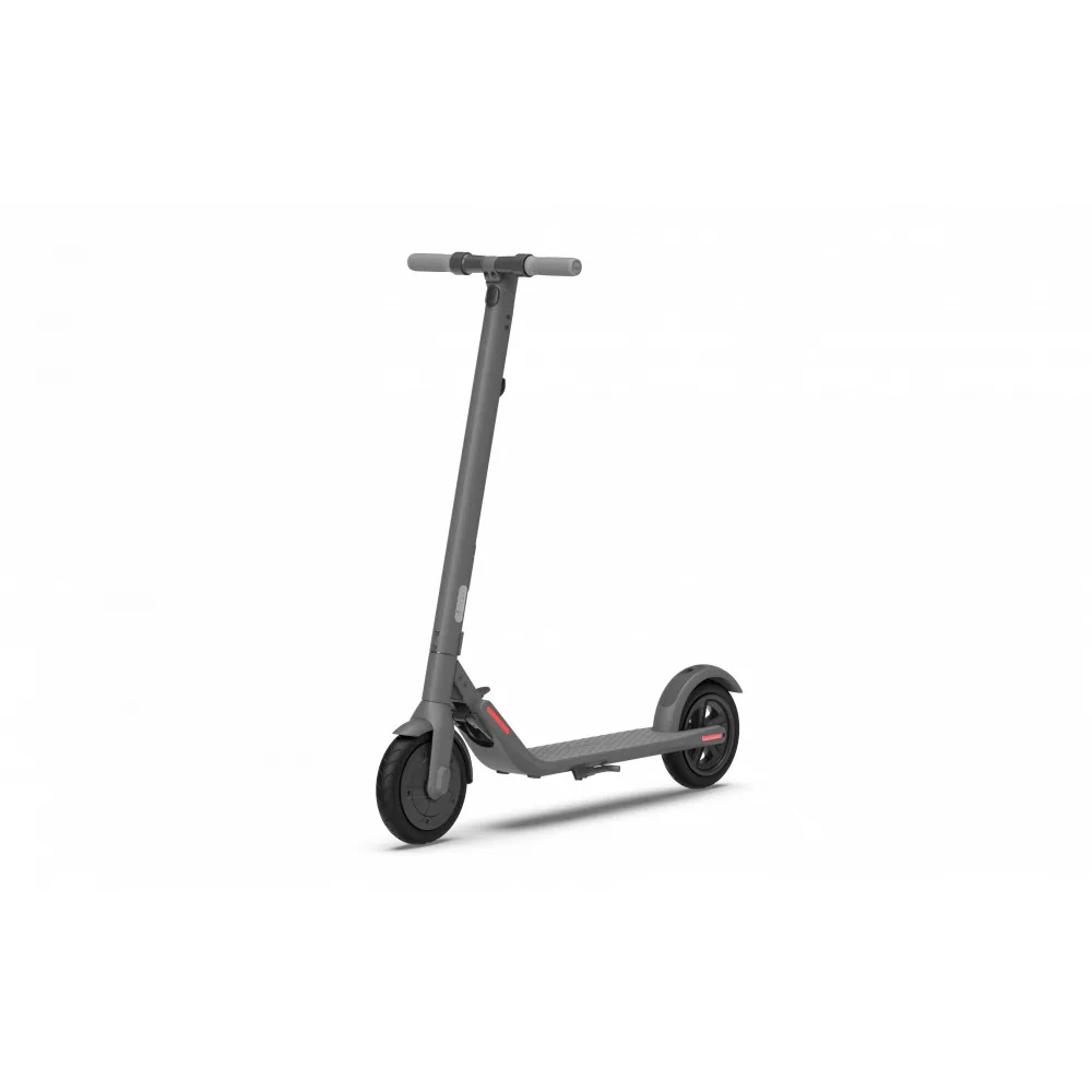 Электросамокат Ninebot by Segway KickScooter E22|Электросамокаты| |