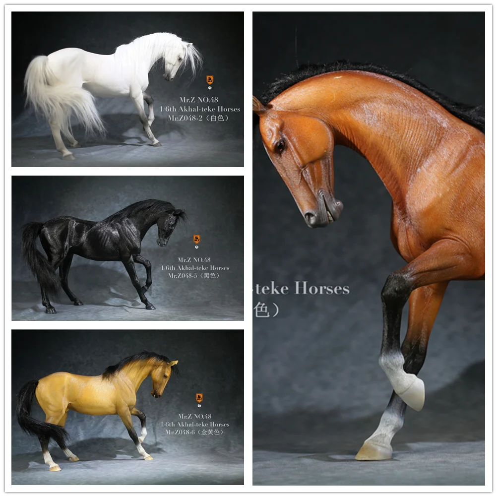 Mr.Z Animal 1/6 Akhalteke Horses Statue Ahalteke Equidae Collector Model Toy Desktop Ornaments Decoration Dolls Kids Gifts |