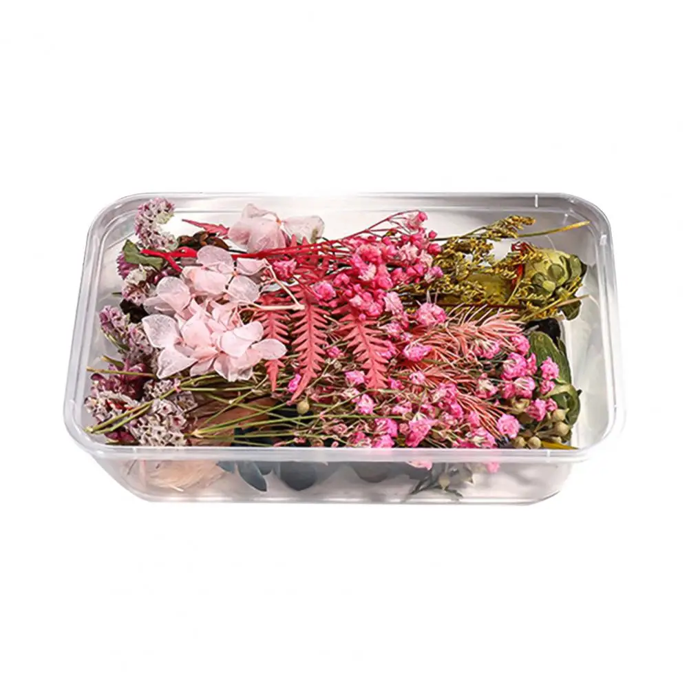 

1 Box Colorful Dried Flower Dry Plant DIY Candle Epoxy Resin Pendant Jewelry Making Craft Decor Material Accessories