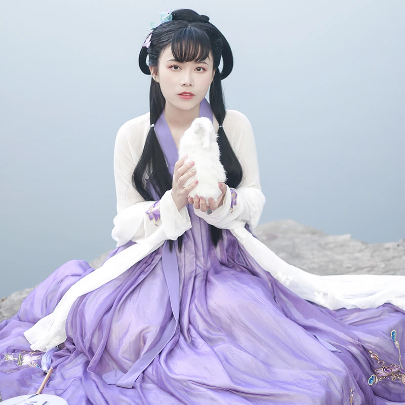 

Purple Hanfu Women National Dance Costume Folk Embroidery Fairy Dress Festival Outfit Oriental Rave Performance Clothing DC4686