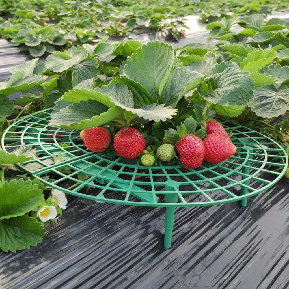 

Strawberry Stand Plant Support Frame Holder Balcony Plant Rack Climbing Vine Pillar Bracket Orchard And Garden Greenhouses Tool