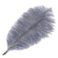 10pcslot gray ostrich feather for crafts 15 70cm6 28 grey feathers ostrich plumes wedding feathers decoration carnaval plumas