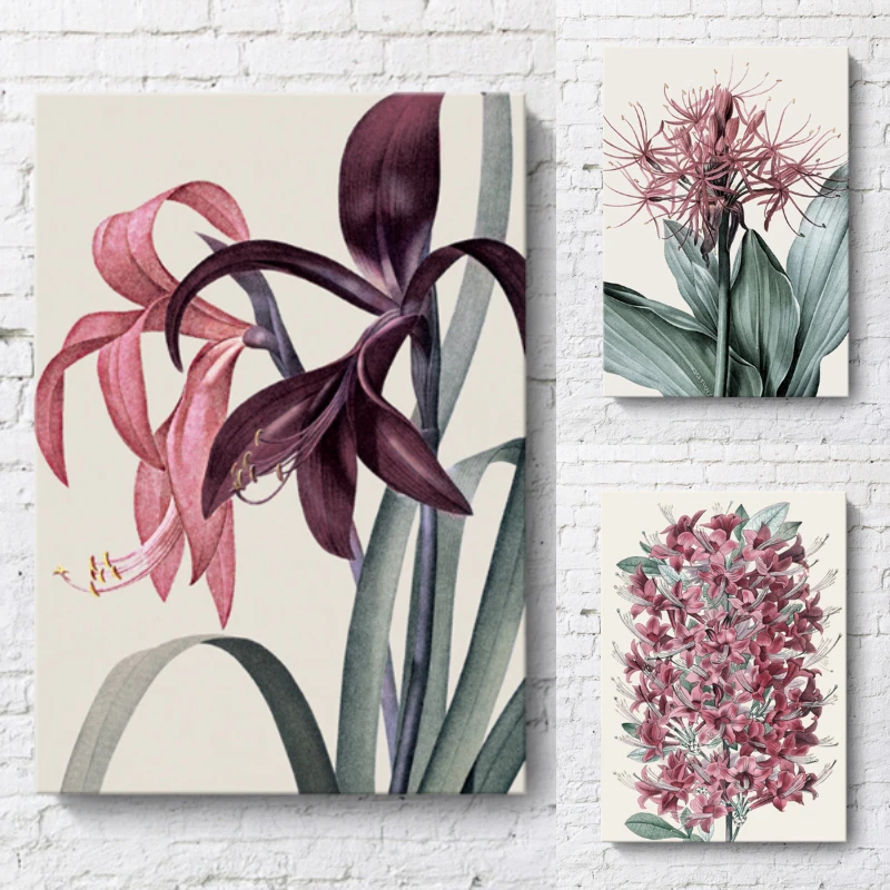 

Wall Art Canvas Painting Modern Flower Series Poster White Red Flower Posters and Prints Room Decor Pictures for Home Decoration