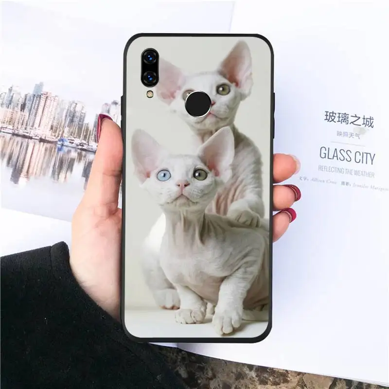

Sphynx cat cute animal Phone Case For Huawei honor Mate P 10 20 30 40 Pro 10i 9 10 20 8 x Lite Luxury brand shell funda coque