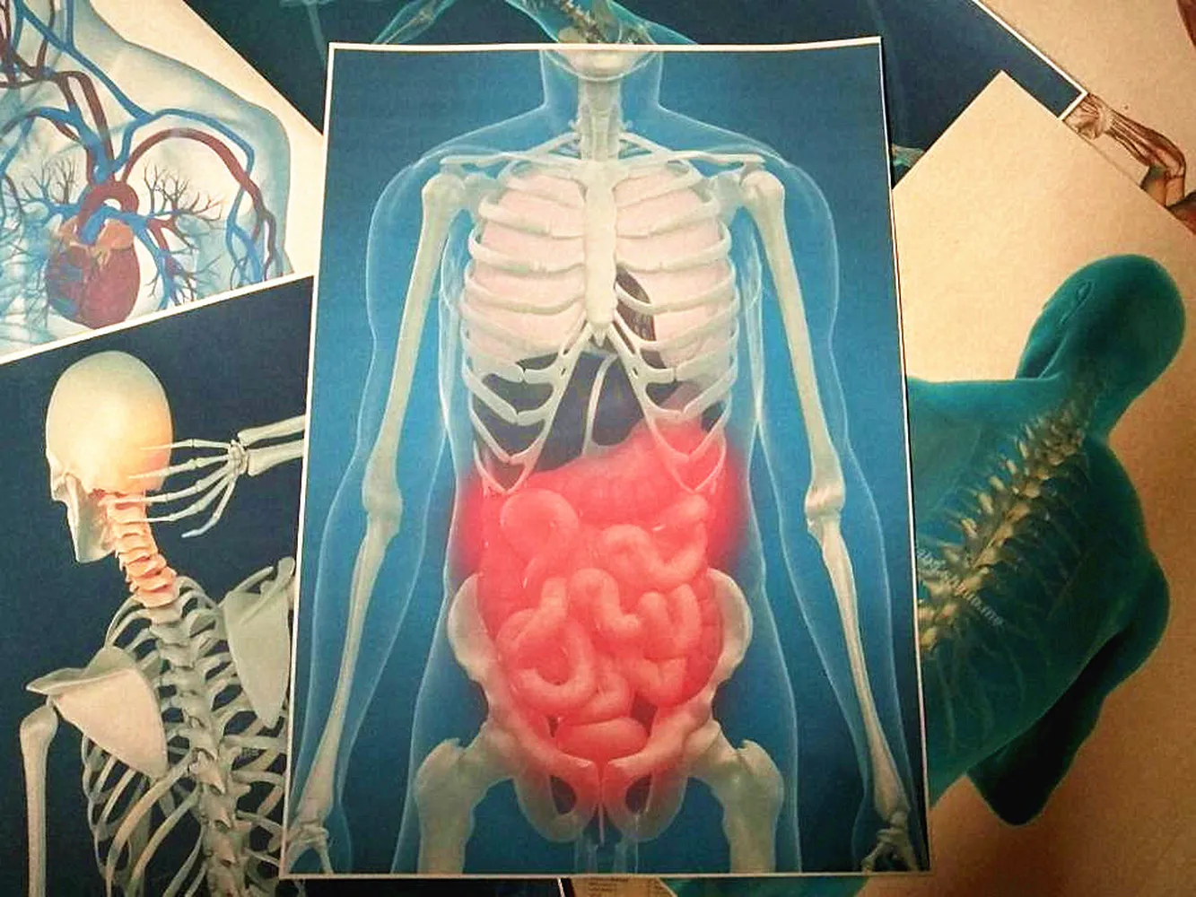 

Retro 3D X-ray Scanning Human Man Anatomy Posters Skeletal Joint Organ Muscular System blue background Kraft Paper Wall Sticker