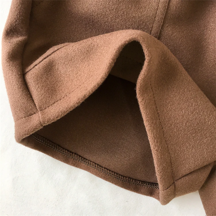 

New Women Shorts Autumn and Winter High Waist Shorts Solid Casual Loose Thick Warm Elastic Waist Straight Booty Shorts Pockets