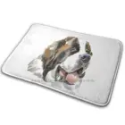 Футболка с надписью St. Bernhardshund Dog, коврик, ковер, нескользящий коврик для входной двери в спальню, Милая футболка с изображением святого Бернара, собаки, щенка