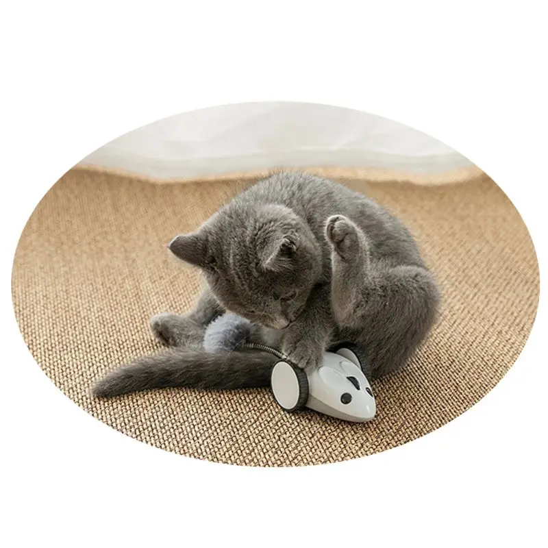 

Cat Funny Electric Mouse Racer Automatic Irregular Moving 360Rotation Interactive App Control USB Charging Pet Toys Highquality