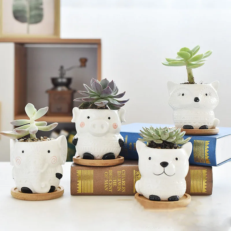 

Succulent Flower Pot Cartoon Animal Nordic Gardening Cute Cat Combination Ceramic Mini Potted Plant Home Office Decor