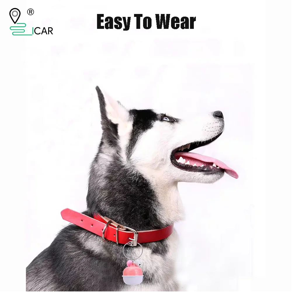 GPS трекер IPX8 водонепроницаемый Колокольчик для собаки без Sim карты бесплатное