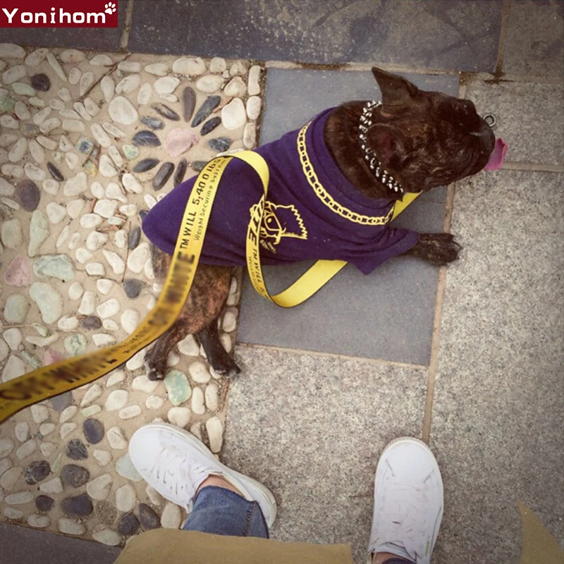 Собачий ошейник поводок модный воротник Перро и для собак кошек нейлоновый