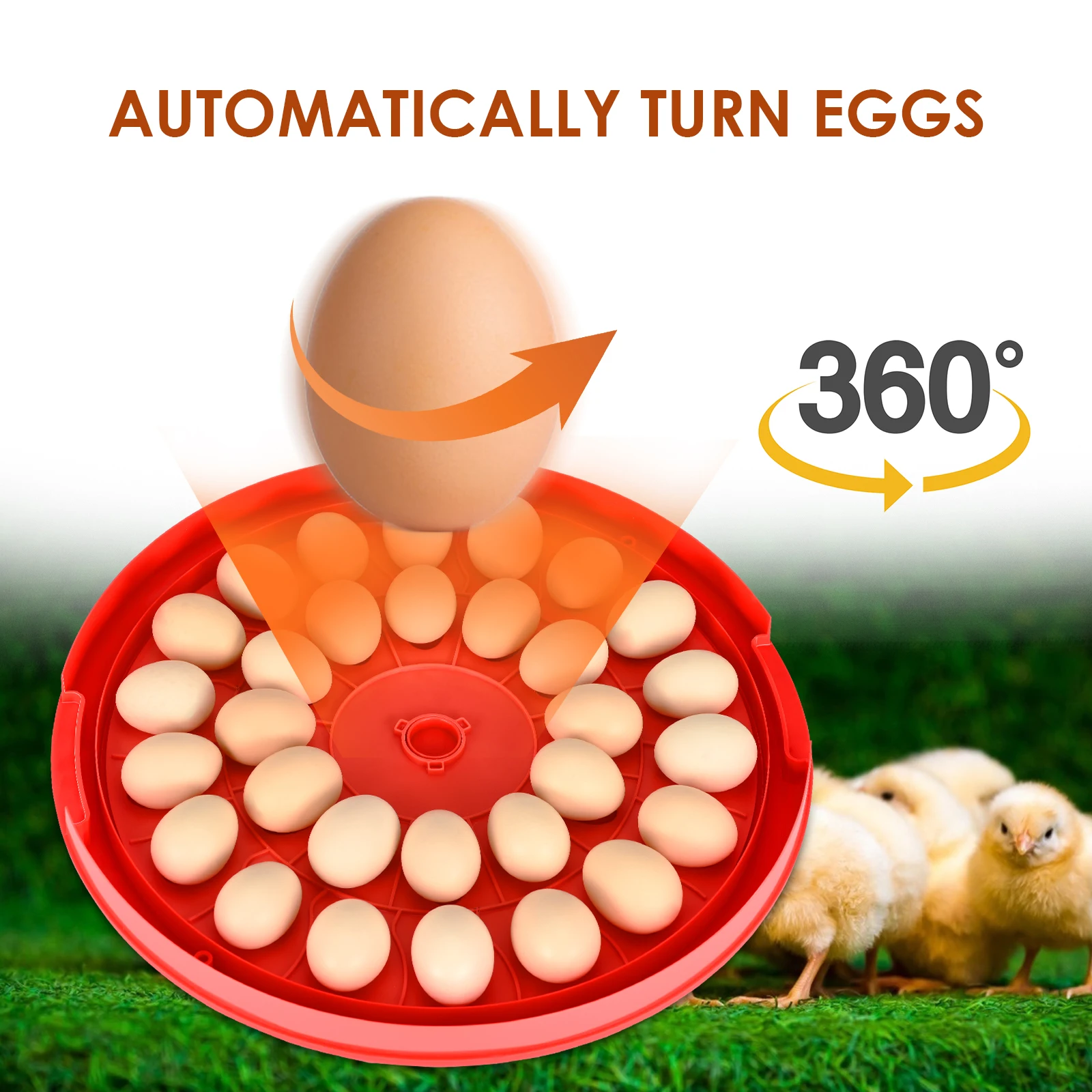 

30 Digital Egg Incubator Turner With Automatic Temperature Regulation For Chickens With Egg Tray For Chicken, Ducks, EU Plug