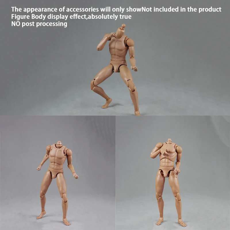 Модель COO BD001 Solid Body 1/6 Sca скульптурная голова со стандартным узким плечом