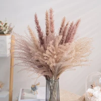 30pcs small reed natural dried small pampas grass phragmites artificial plants wedding decoration flower bunch for home decor