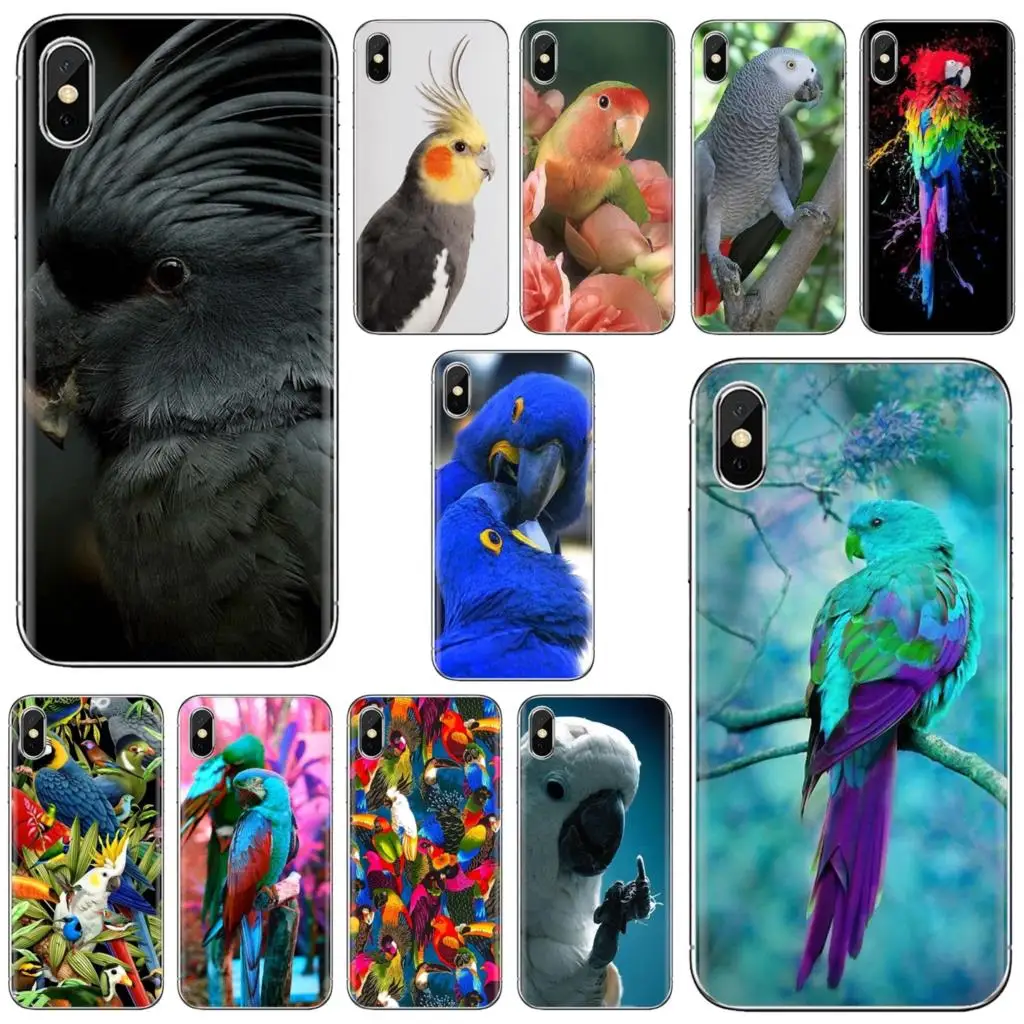 

For iPhone iPod Touch 11 12 Pro 4 4S 5 5S SE 5C 6 6S 7 8 X XR XS Plus Max 2020 Soft Skin Case Garden flower Bird Ringneck Parrot