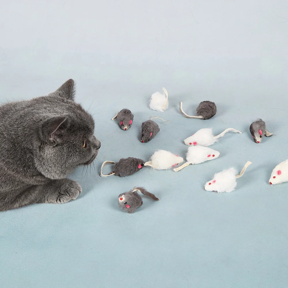 12pcs Simulation Cat Teasing Adorable Interactive Chew | Дом и сад