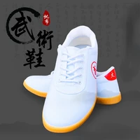 new martial arts shoes unisex adult sports traditional chinese old beijing tai chi kung fu team performing men and women