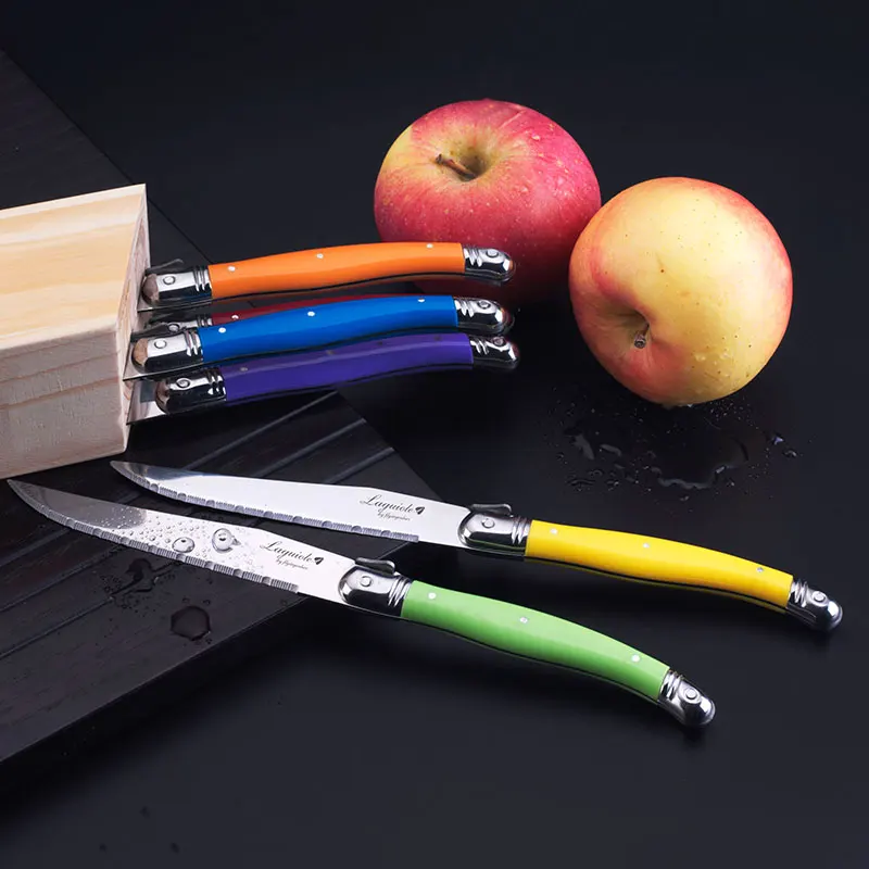

Free shipping 6pcs/set 9'' Laguiole Style Stainless Steak Knife w/ Rainbow Handle Put in Wood Holder Kitchen Cutlery Tableware