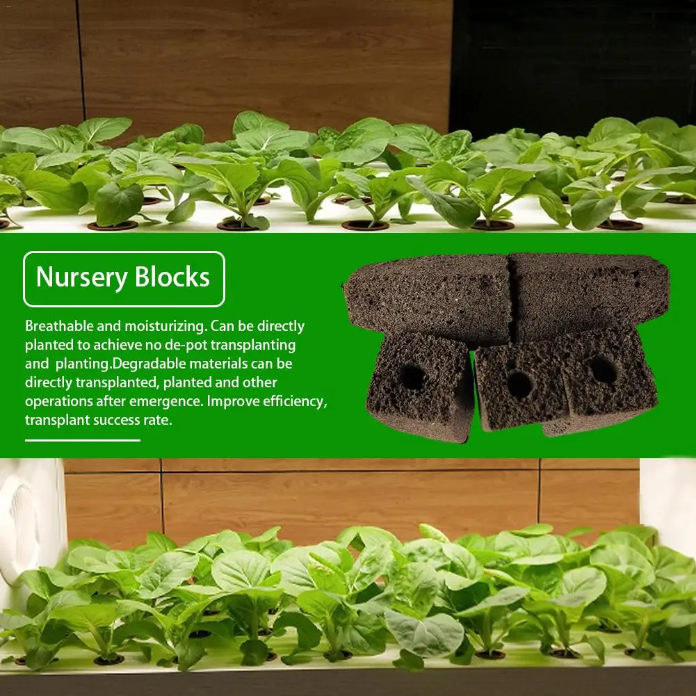 20 шт./компл. детский блок гидропонный для выращивания саженцев без земли|Детские