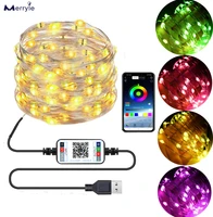 wifi wireless bluetooth led light strip 2 10 20 meters outdoor waterproof fairy strip lights rgb colorful holiday string light