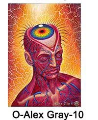 10 Настенное искусство Alex серый Oversoul трипси-психоделический абстрактный плакат шелковая ткань печать Картина Настенная картина домашний декор - Цвет: 10