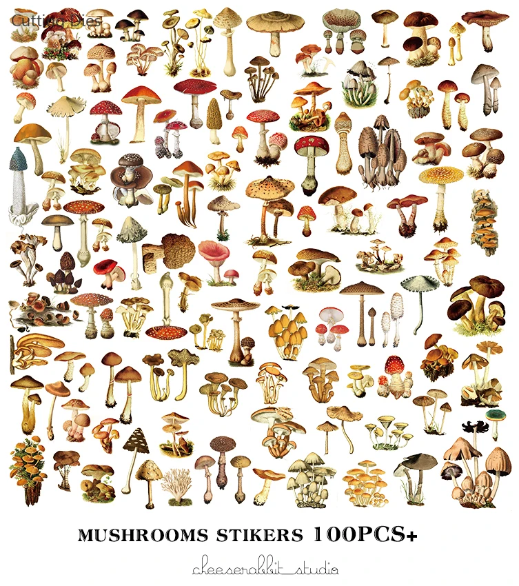 100 шт/партия винтажная Грибная иллюстрация веленевая писчая бумага наклейки для