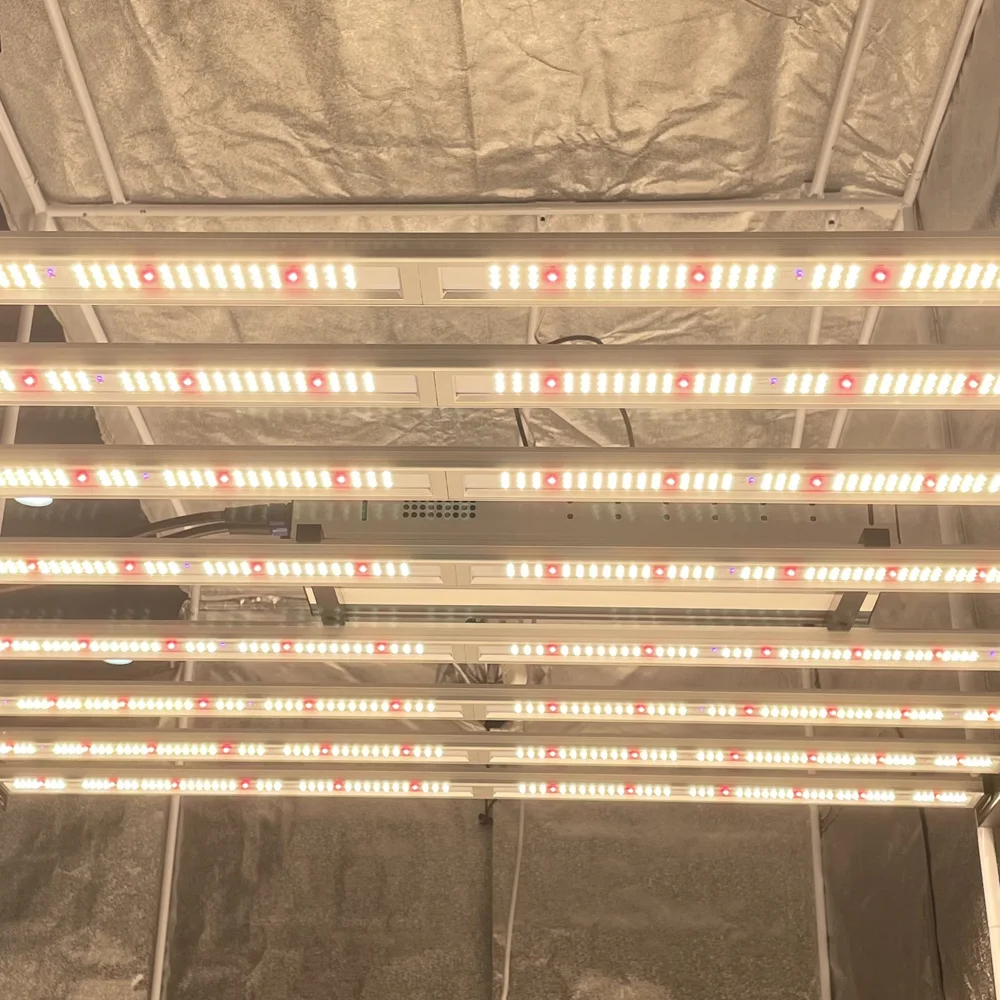 

Geekbeast плюс LM301H LM301B гидропонных led grow светильник geek светильник Дейзи
