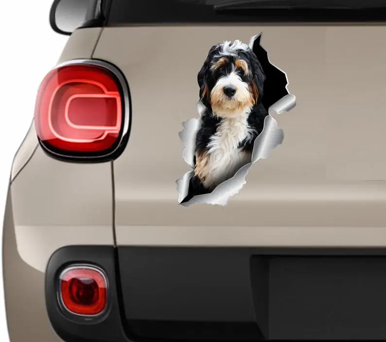 

Bernedoodle auto Car sticker Bernedoodle sticker Car decal Bernedoodle decal Dog car sticker Cute animals sticker