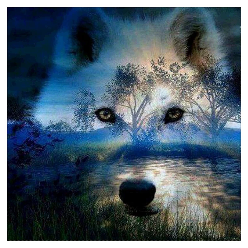 Полный алмаз Ночной Волк 5D алмазная картина вышивка крестиком Искусство Декор