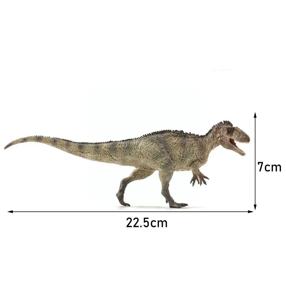 

Chinese Raptor Model Proceratosaurus Dinosaur Figure Collector Animal Toy K9K1