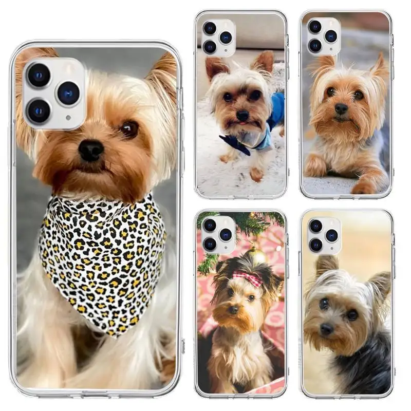 

Cute pet Yorkshire Terrier dog Phone Case for iphone 6s 7 8plus xr xs max 11 12 pro max mini funds clear