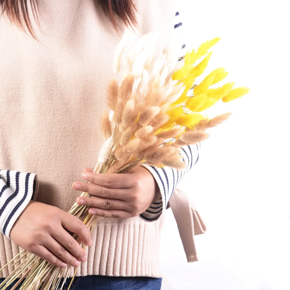 

60/120PCS Colorful Natural Rabbit Tail Grass Dried Flowers DIY Lagurus Ovatus Home Wedding Garden Decoration Dry Flowers Bouquet
