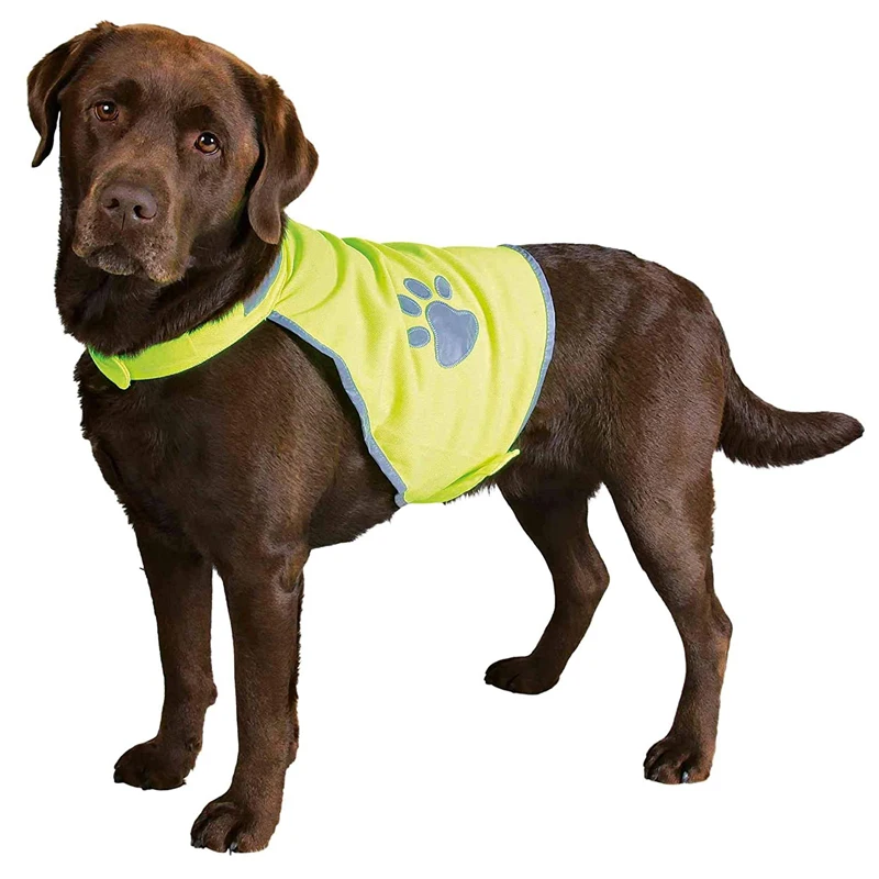 Светоотражающий Регулируемый жилет безопасности для собак плохая одежда