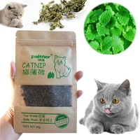 natural catnip cat treat balls pet catnip toys interactive mice mouse kitten toys cats playing cleaning teeth pet accessories