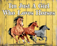 im just a girl who loves horses stable pony foal metal sign tin plaque