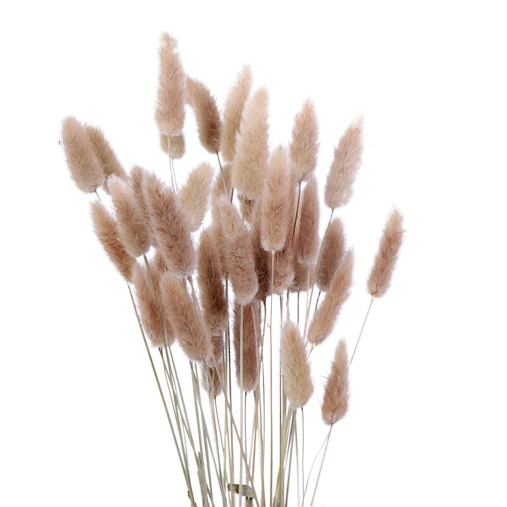 

Сушеные цветы Pennisetum, 15 шт., кроличий хвост, сено, натуральные растения, декоративные сушеные цветы, пасторальный Декор для дома