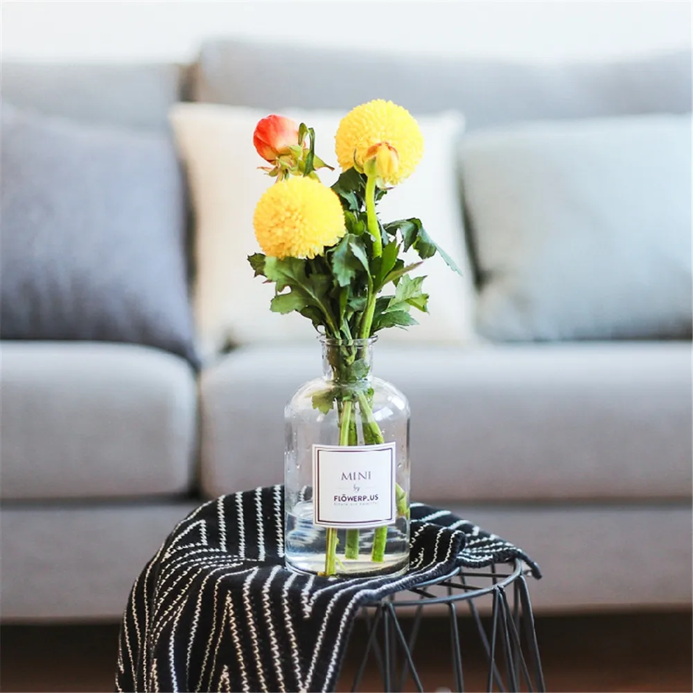 Скандинавский шик серая стеклянная банка для хранения скандинавский