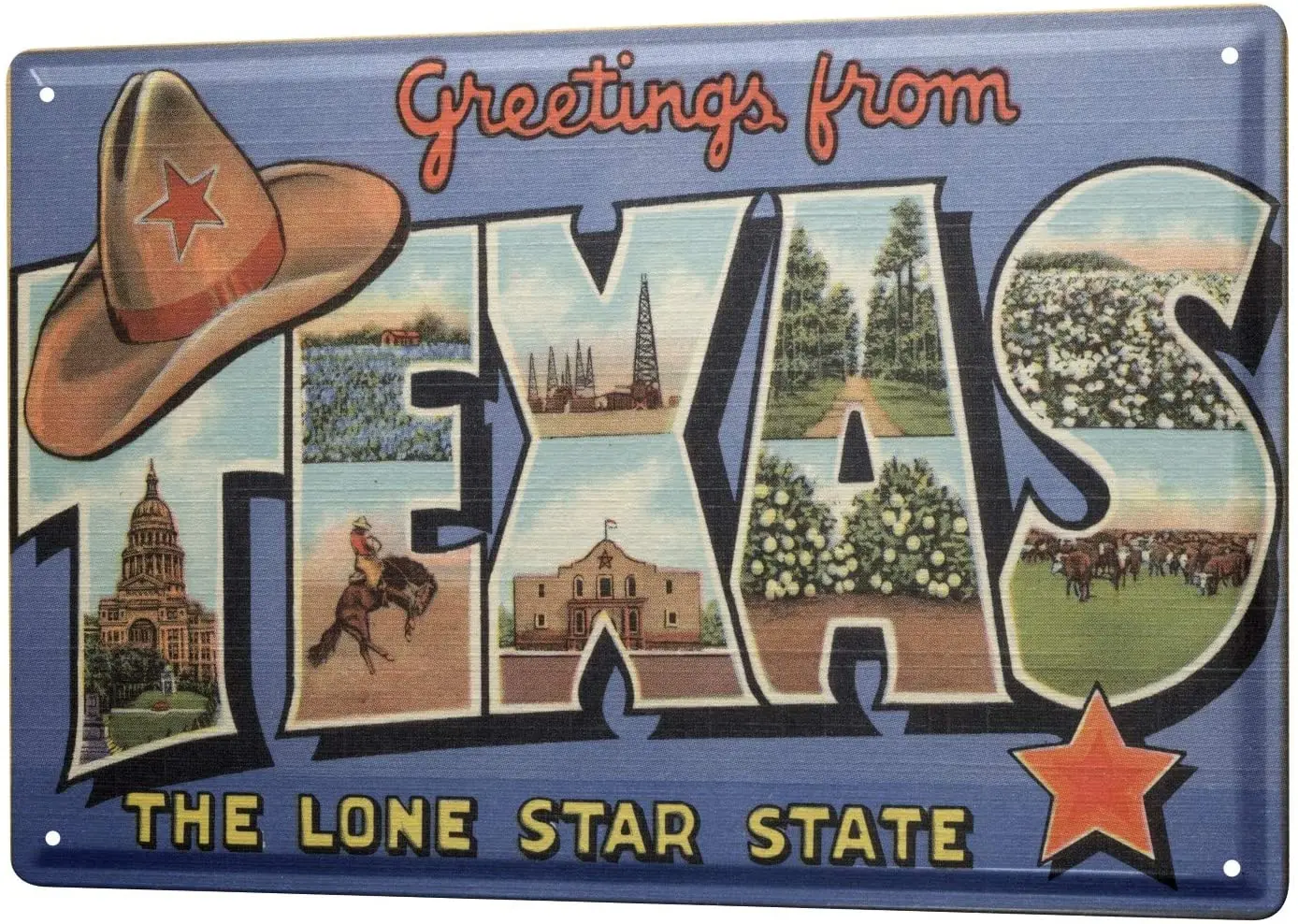 

SINCE 2004 Tin Shield Adventurer Texas Star