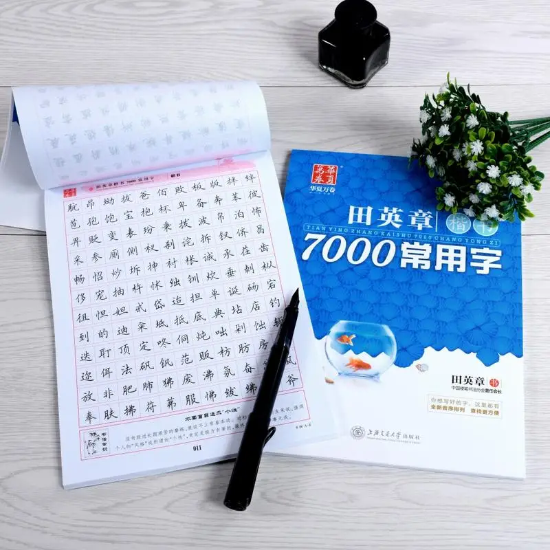 

1 Books 7000 Common Chinese Characters Copybook Pen Calligraphy Regular Script Livros Livres Kitaplar Art Quaderno Libros