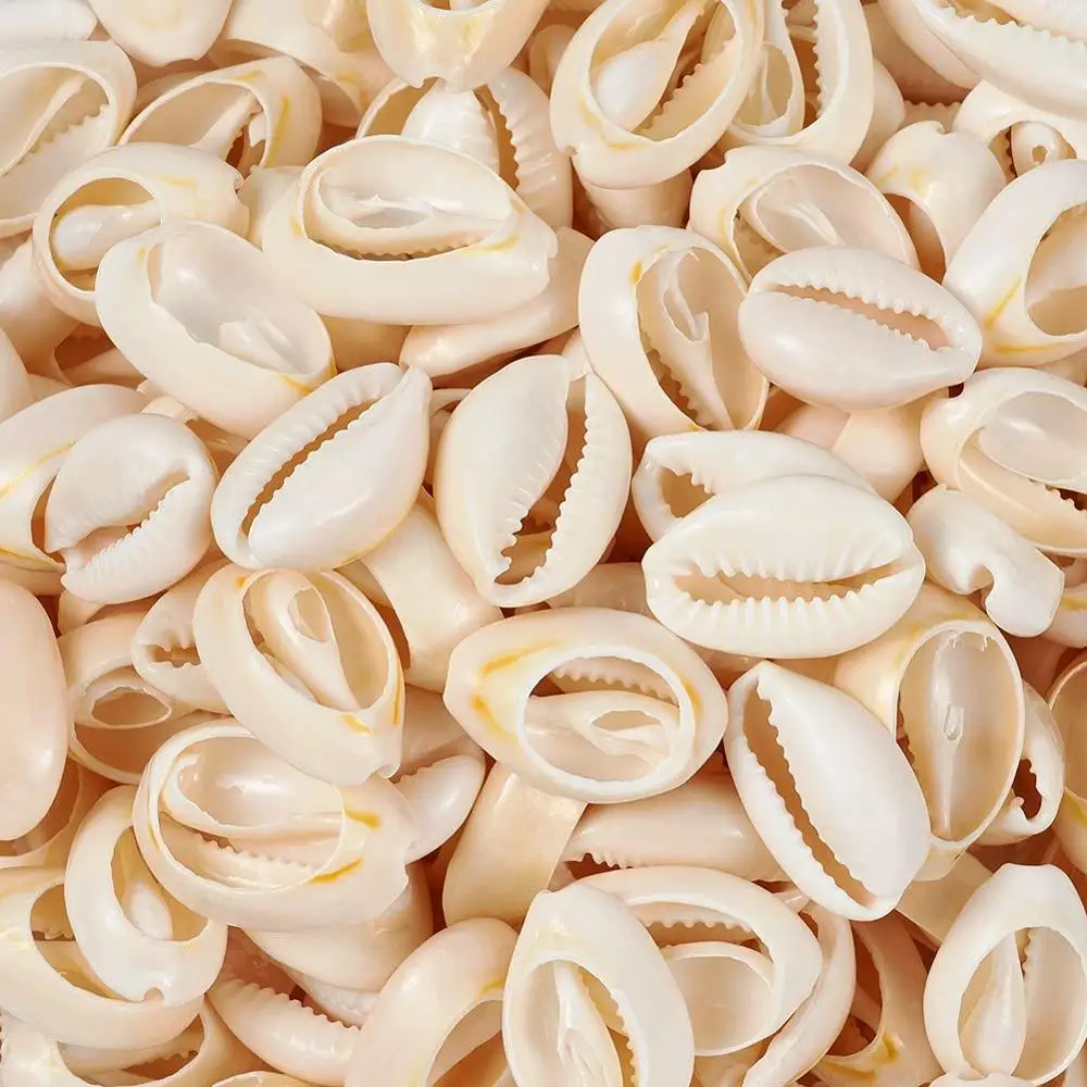 500 г смешанный природный небольшие спирали sea Shell Свободные Бусы Подвески для изготовления ювелирных изделий, раковины каури, 13~ 16x10~ 11x3~ 5 мм
