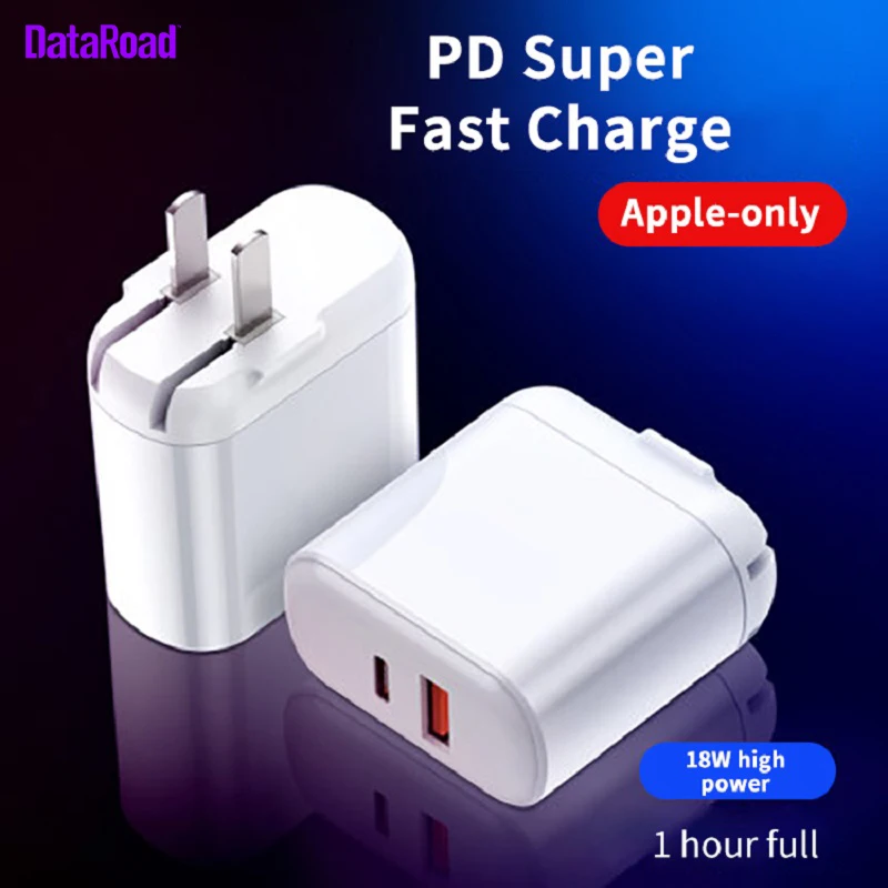 DataRoad Оригинальное USB PD двойное зарядное устройство для iPhone 11Pro 24 Вт Тип C поддержка